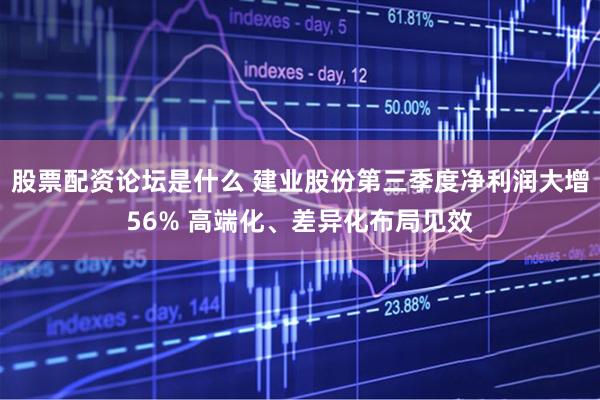 股票配资论坛是什么 建业股份第三季度净利润大增56% 高端化、差异化布局见效