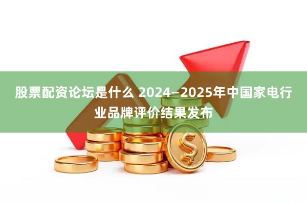 股票配资论坛是什么 2024—2025年中国家电行业品牌评价结果发布