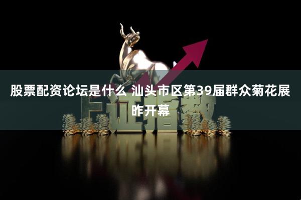 股票配资论坛是什么 汕头市区第39届群众菊花展昨开幕