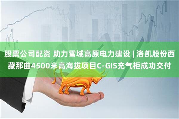 股票公司配资 助力雪域高原电力建设 | 洛凯股份西藏那曲4500米高海拔项目C-GIS充气柜成功交付